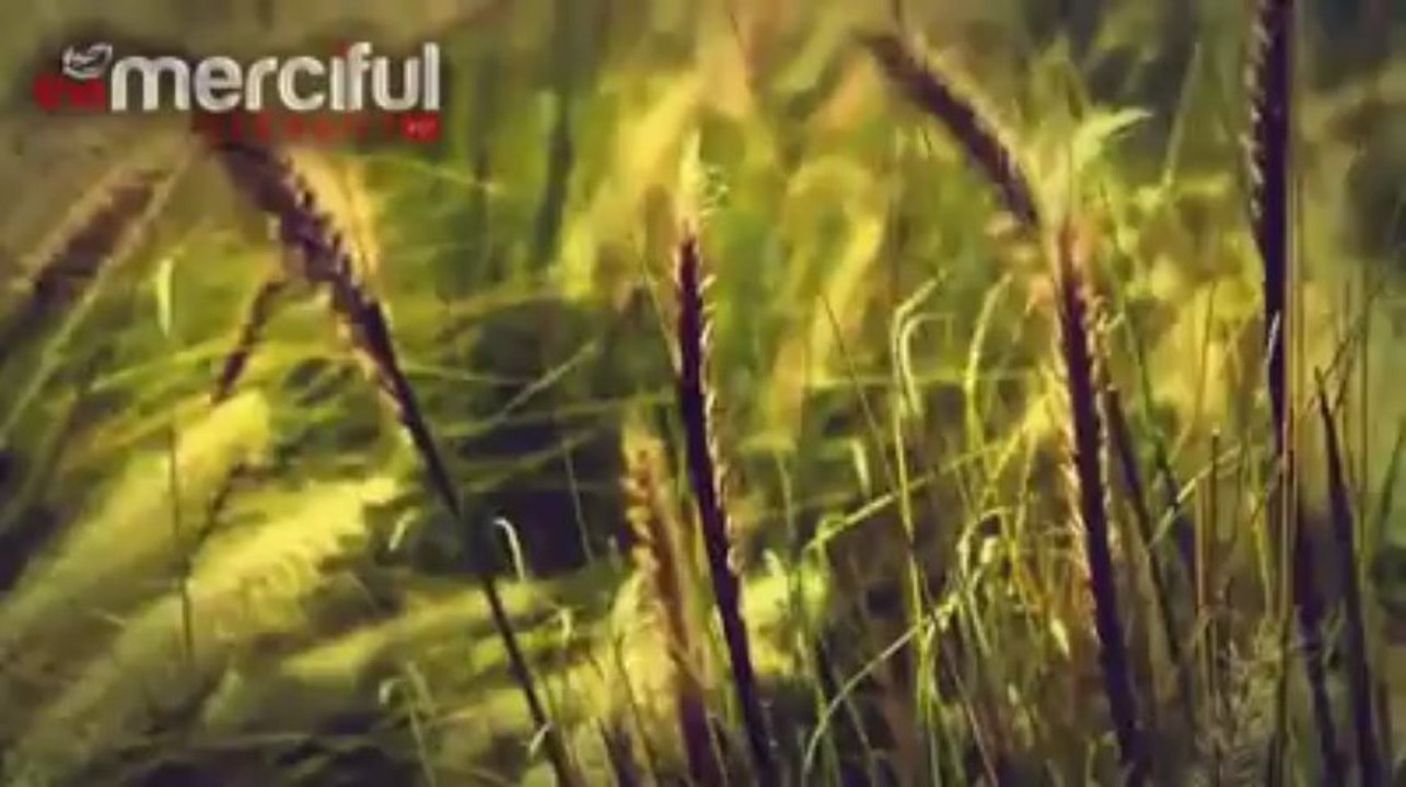 Why angels rushed to help him