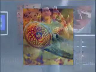 BIOLOGIA AULA 30 -- CORDADOS Parte 2 - YouTube