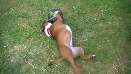 Héra joue avec son ballon