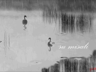 ömer toptaş (su misali)