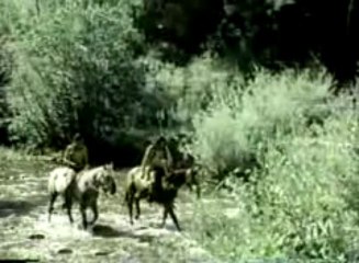 Grizzly Adams S2-E04 The Trial