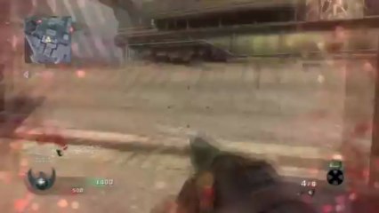 StakeOut Best Shotgun in Black Ops? Gun 1of4