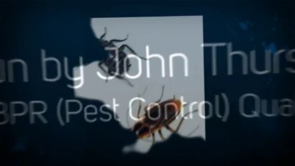 Exterminators Buckingham