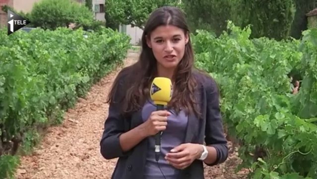 Vacances au milieu des vignobles