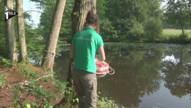 Dormir dans les arbres ou sur l'eau