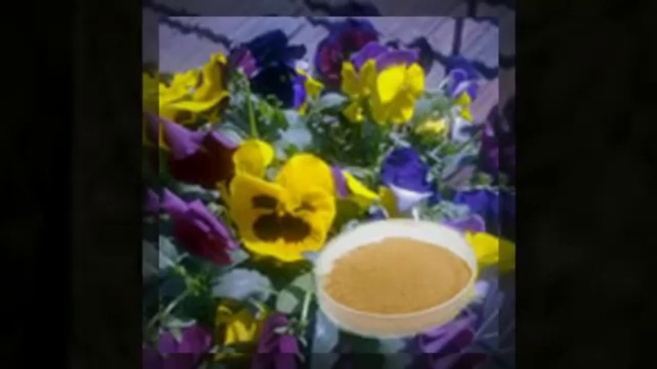 Top supplier for Herbal extracts: www.vanjex.net