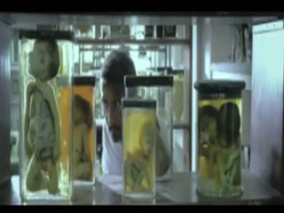 Ship of Theseus collects Rs 25 46 lakh