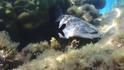 Our Life: A Journey of Moments