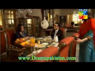 Humnasheen Episode11 - 6th May 2013