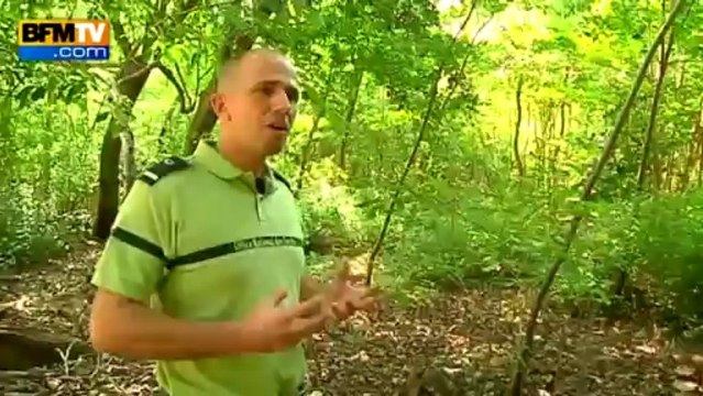 Les plus belles plages de France: Salines en Martinique - 23/07