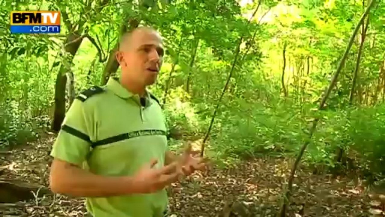 Les plus belles plages de France: Salines en Ma...