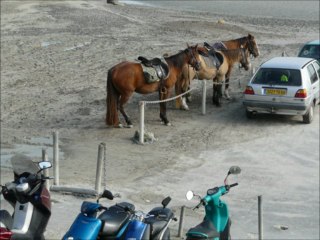 Mouvements,contraires et contrastes