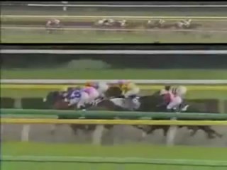 Dünyanın En Hızlı Atı