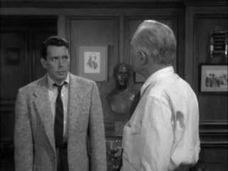 Hulu's AHP Premonition: What You Need to Know