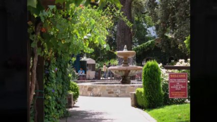 Napa App Users Vote! 50 Top Searched Winery Pages