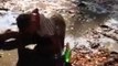 A russian drunk guy dives into a puddle of mud.. So ridiculous!