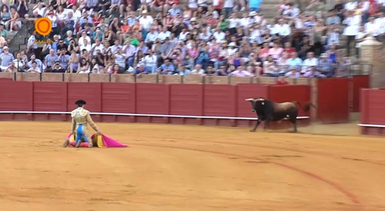 Corrida del 5 de mayo de 2013 en la Maestranza de Sevilla