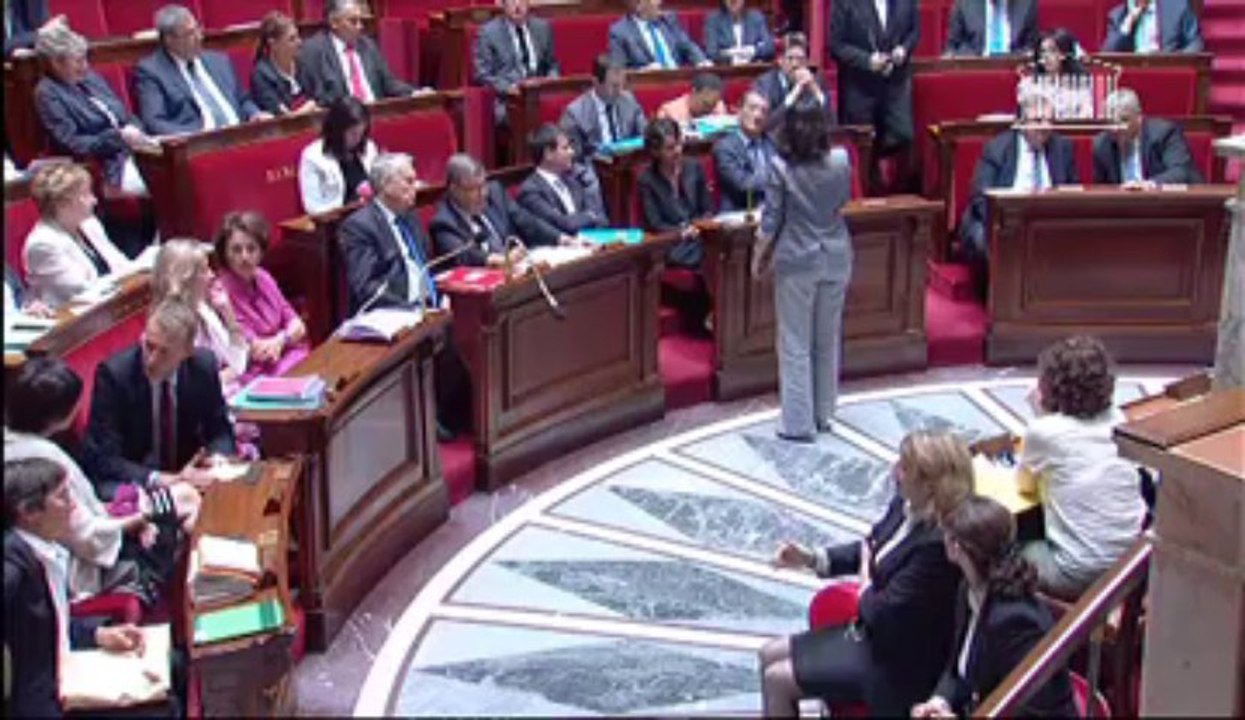 23 juillet 2013 - QAG Question à Cécile Duflot sur la politique du logement
