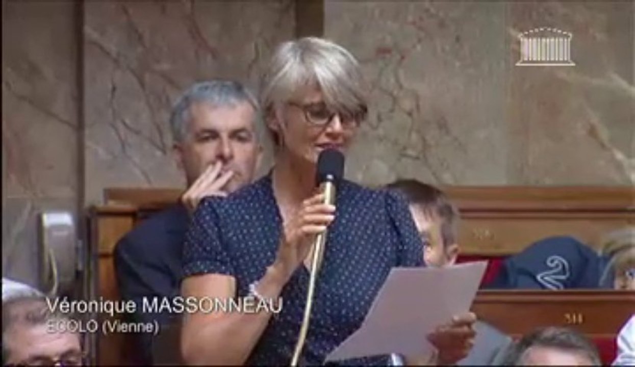 Véronique Massonneau interroge le gouvernement sur la prime à l'apprentissage
