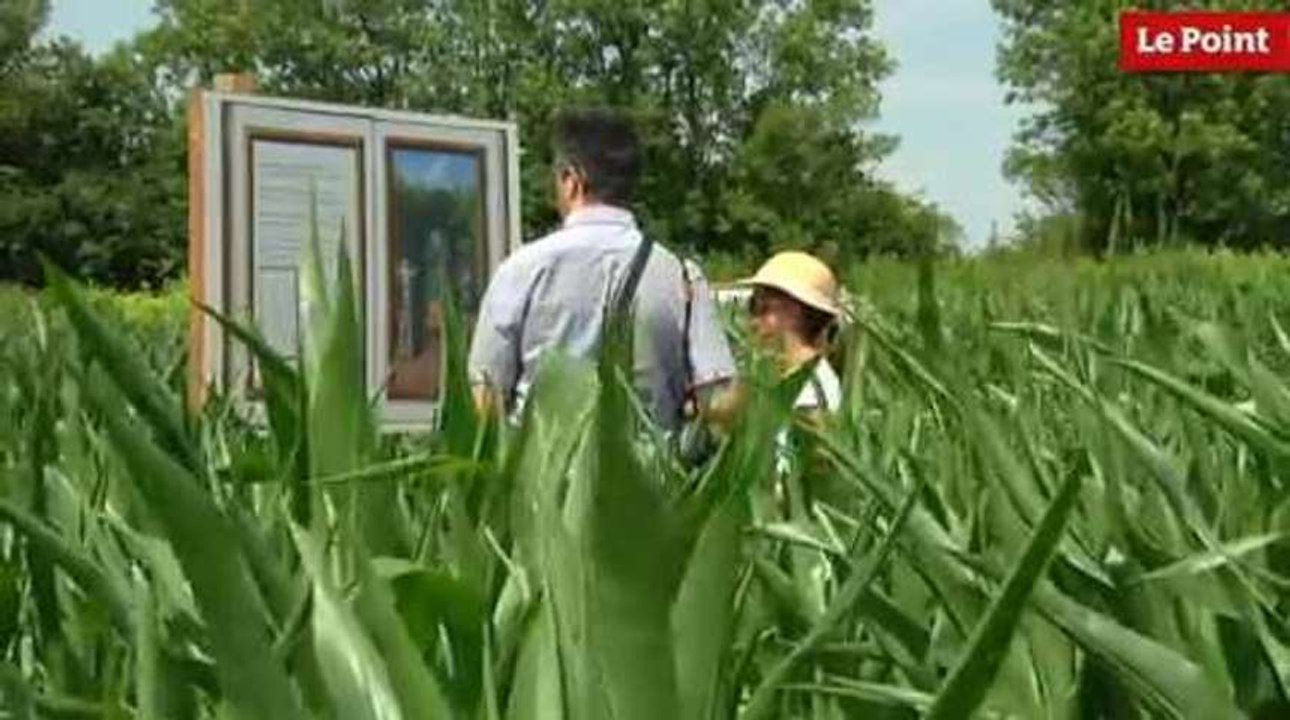 Anniversaire le Nôtre : dans les dédales du labyrinthe de Versailles