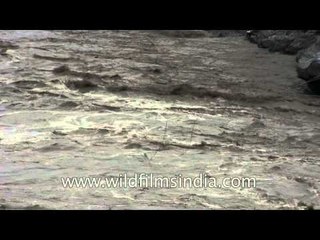 The water which took away Kirti Nagar