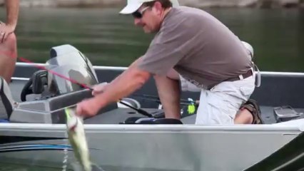 Lowe Boats - 2013 Stinger ST195 DC