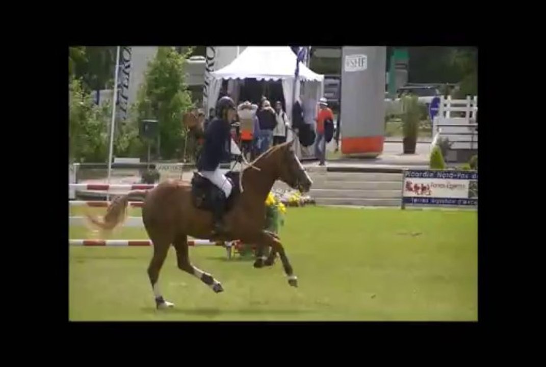 tonik csi hardelot2013_115_02