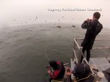 Impresionante encuentro entre un grupo de buzos y dos ballenas jorobadas