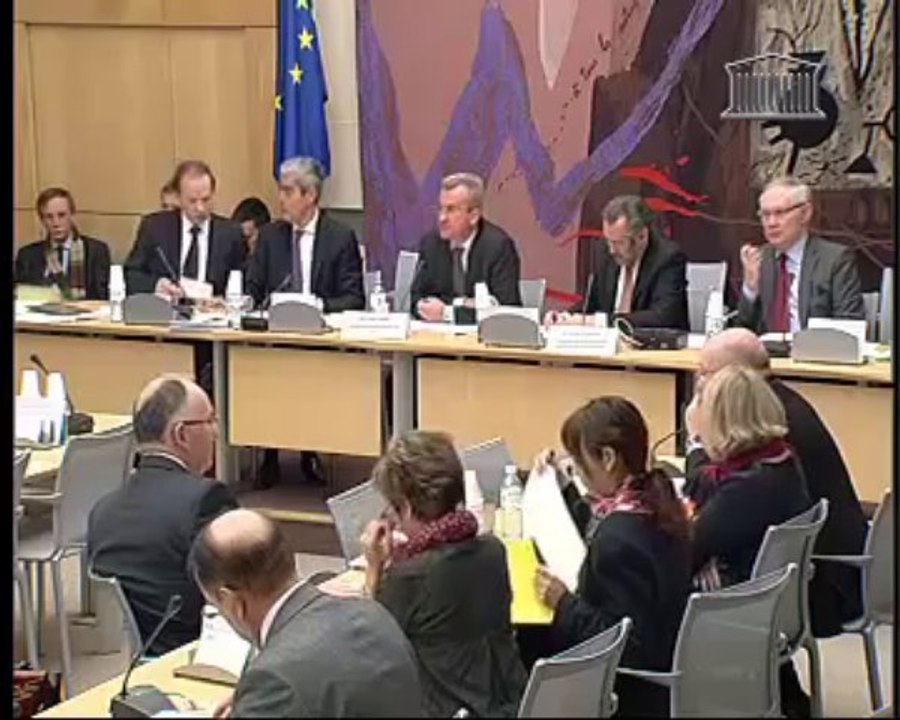 Audition de %2CFranck Esser president de SFR par la Commission des affaires economiques %5B Integral %5D