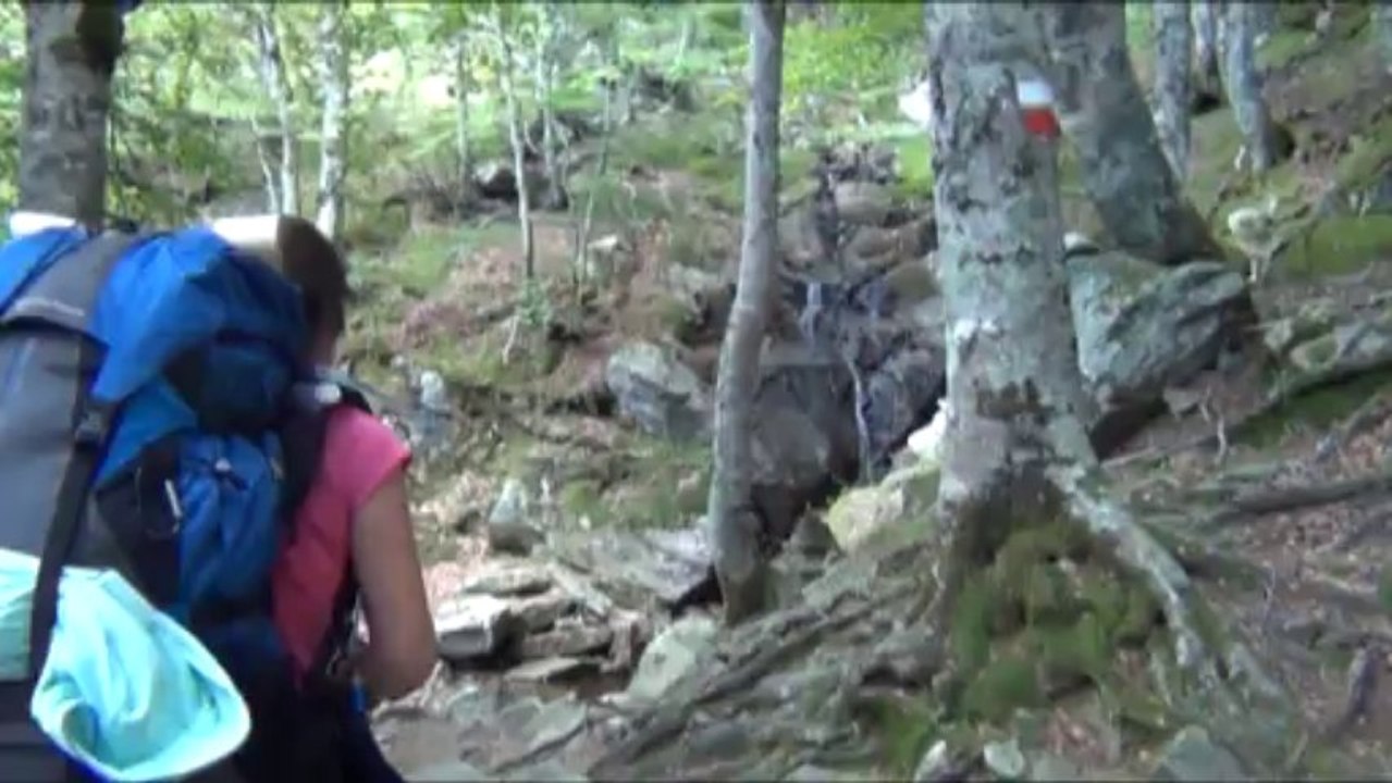 GR20 sud - corse - vizzavona - e capanelle