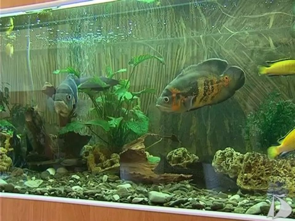 Новости от 23 июля 2013 года