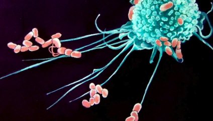 How to Heal a Sprained Ankle - Rest and ice do NOT Work