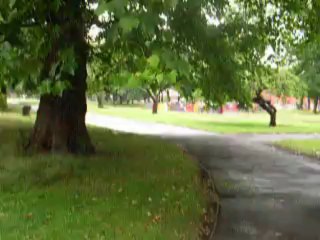 memories of david hemmings on a wet morning at ardwick green park manchester uk