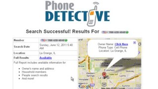reverse phone detective any good