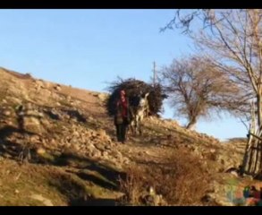 YAR KOKUSU GELİR Mİ U.H. - MEHMET BALAMAN _2011_ - YouTube