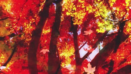 Philip Cottrell Gibraltar_ Falling Autumn leaves