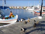 Beautiful Greece (Greek Cats) The paradise By YannisArt  #02