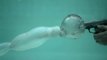 Underwater Bullets filmed at 27,000fps - Amazing Super Slow Motion Video in HD!