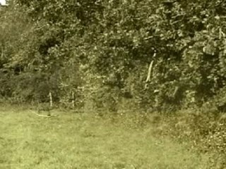 Baston arpthas avec effets