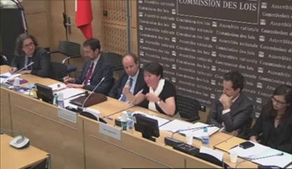 Com Lois 17 juillet 2013 suite Veille Européenne