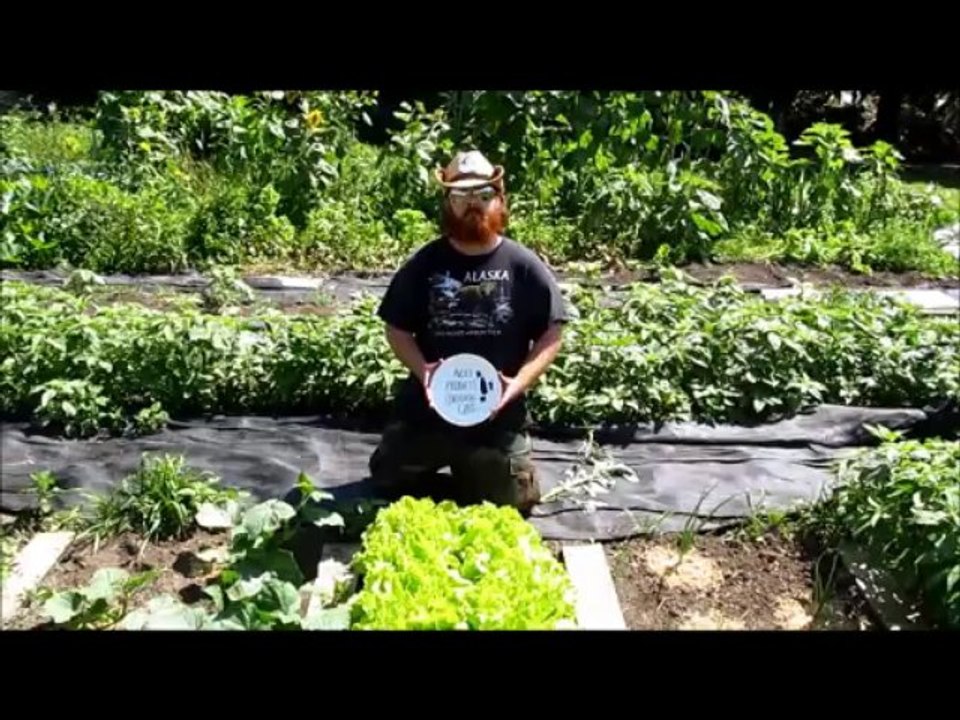 The Field of Dreams in Durham Region-Monsanto Video Revolt 2013