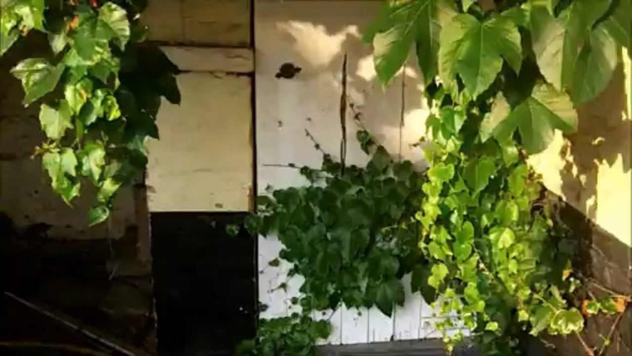 urbex session 49 : ferme roosbeef