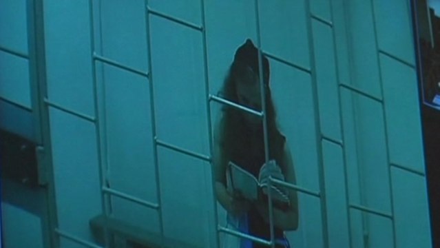 Pussy Riot's Maria Alyokhina appeals via video link