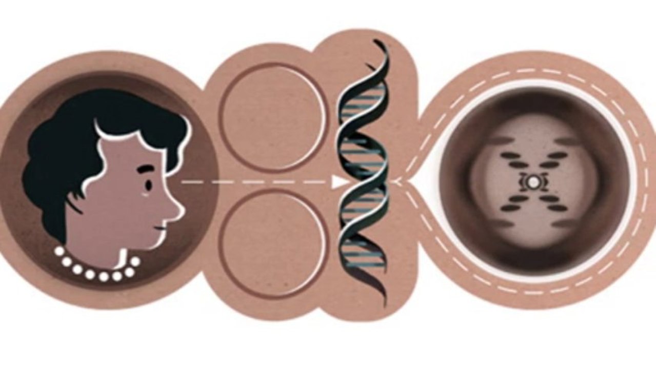 rosalind franklin doodle