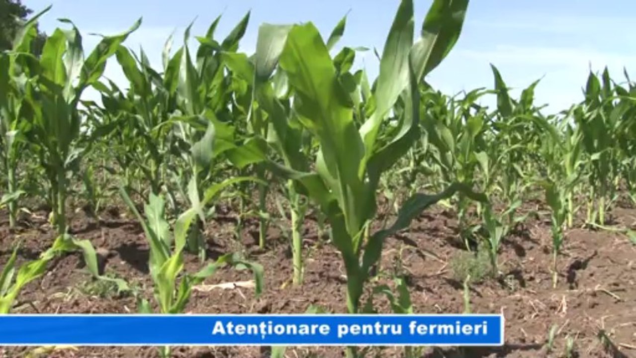 ATENTIONARE PT FERMIERI