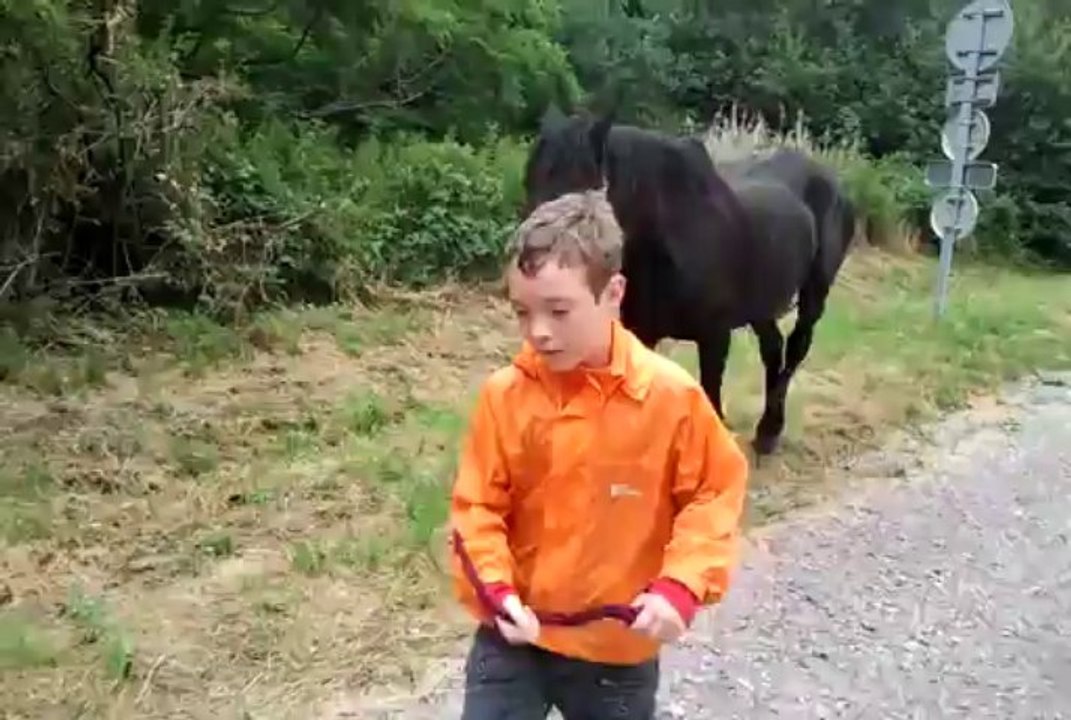 les chevaux, leur première ballade