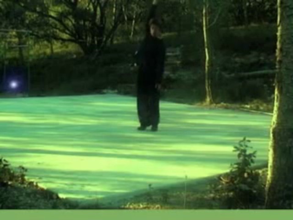 Maquette "Dans Un Autre Monde" - La Geste De Peter Pan 5