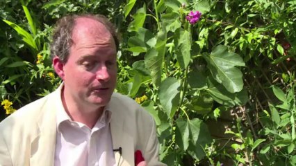 Kate and Will create unique genealogy for new royal baby