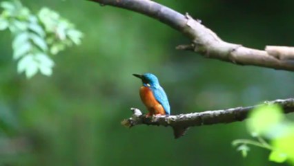 MARTIN EST TOUJOURS INQUIET