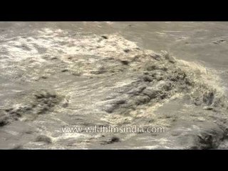 Water still at high flow in Silli